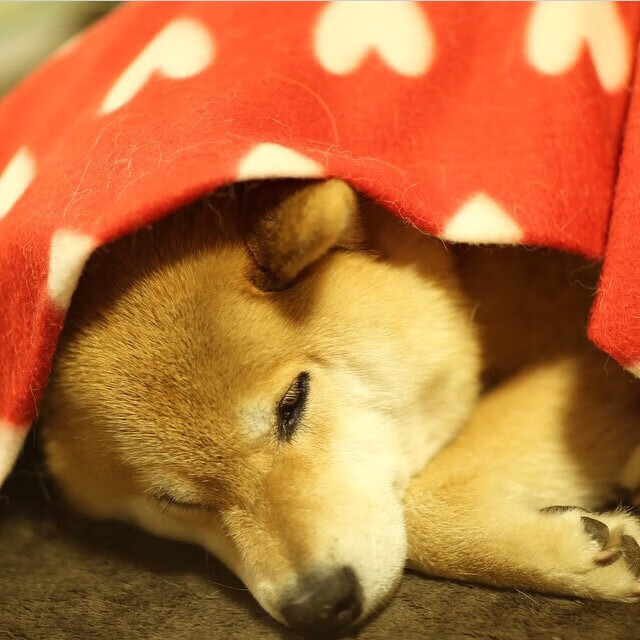 FB体育官网-【心理调适】明星球员在比赛高压下的应变之道