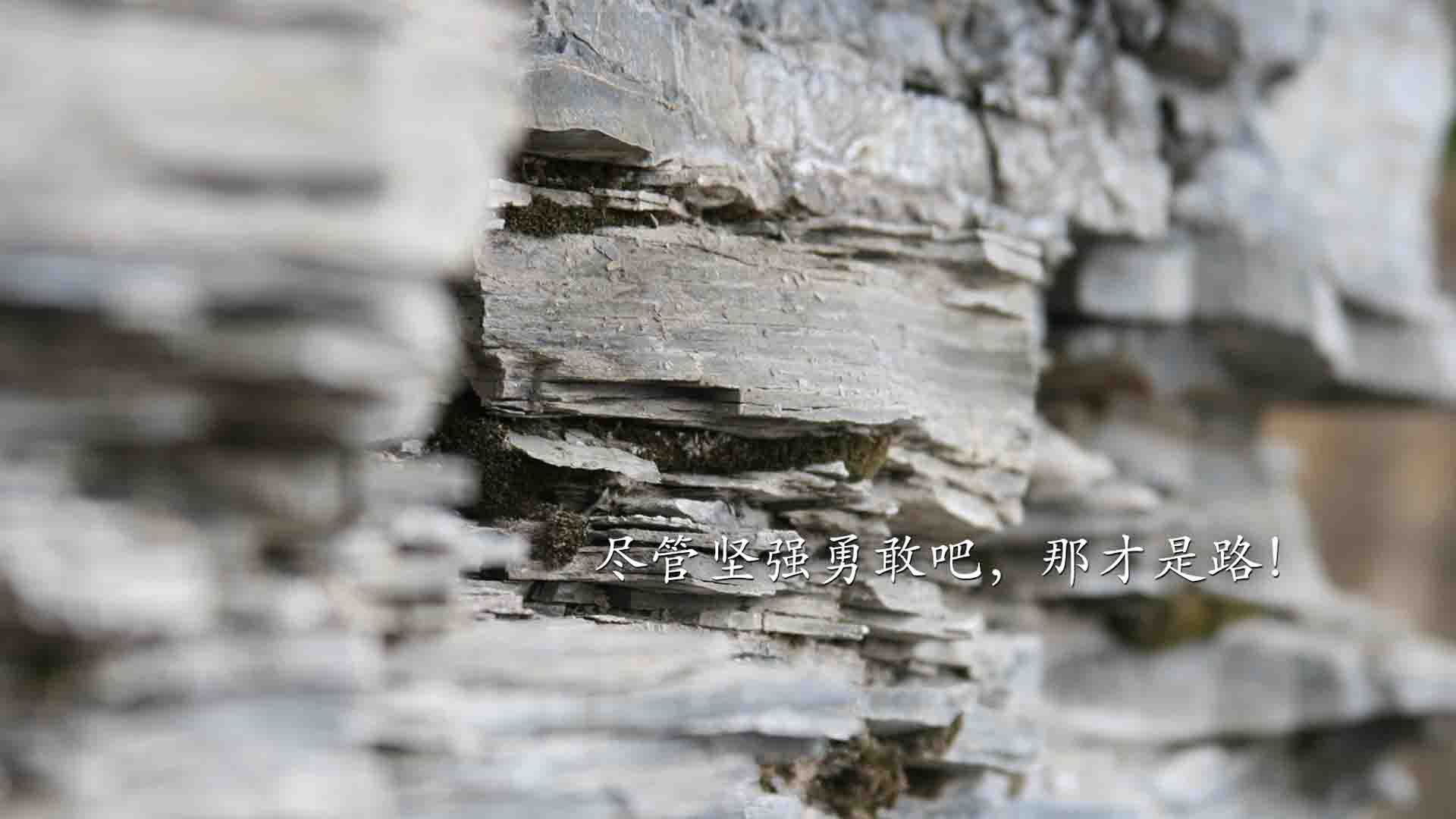 FB体育入口-中国篮球文化节成功举办多场活动,篮球文化节活动方案