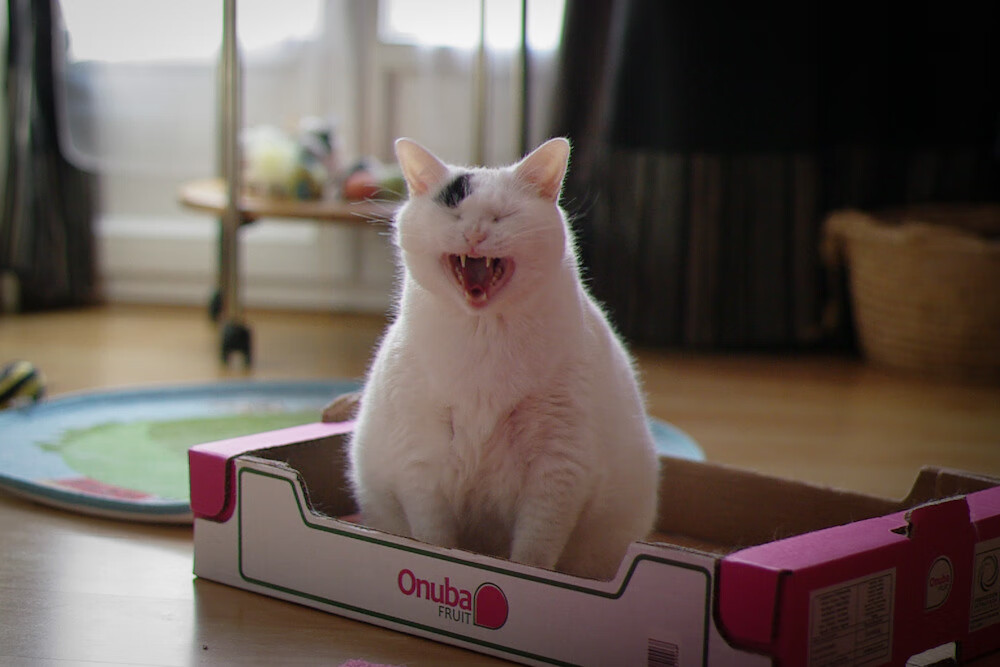 fb体育在线官网-史上最精彩的“风云对决”：谁的表现最让人震撼？，《风云决》