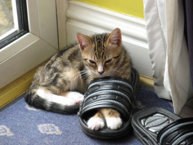 FB体育在线-星空露营徒步，感受夜色中的运动魅力，星空露营照片