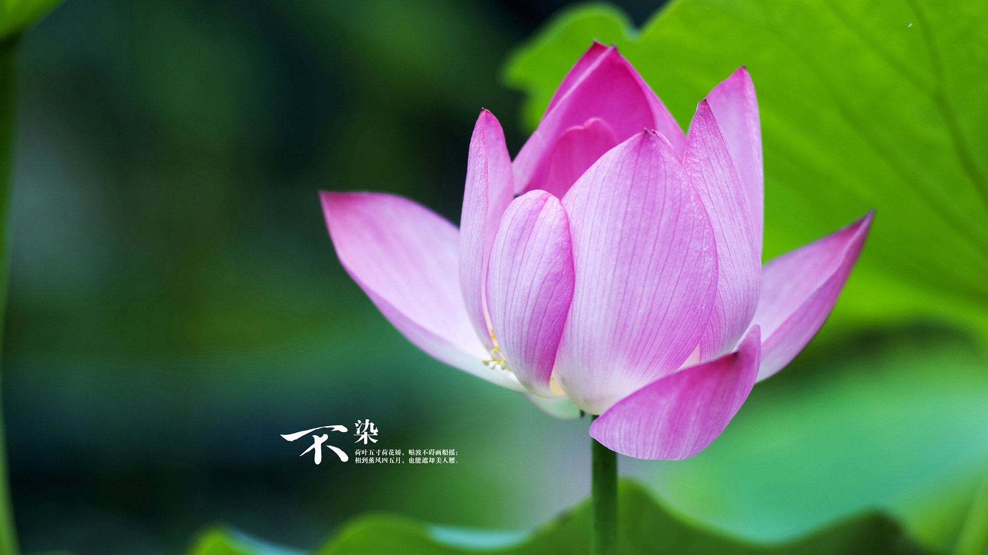 fb体育在线官网-海外海钓比赛,海上争夺黄金钓点,外海海钓视频