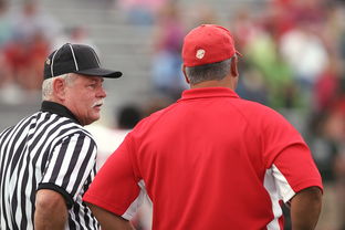 FB体育app下载-意甲裁判语义分析辅助判罚准确性的应用探讨，意甲 裁判