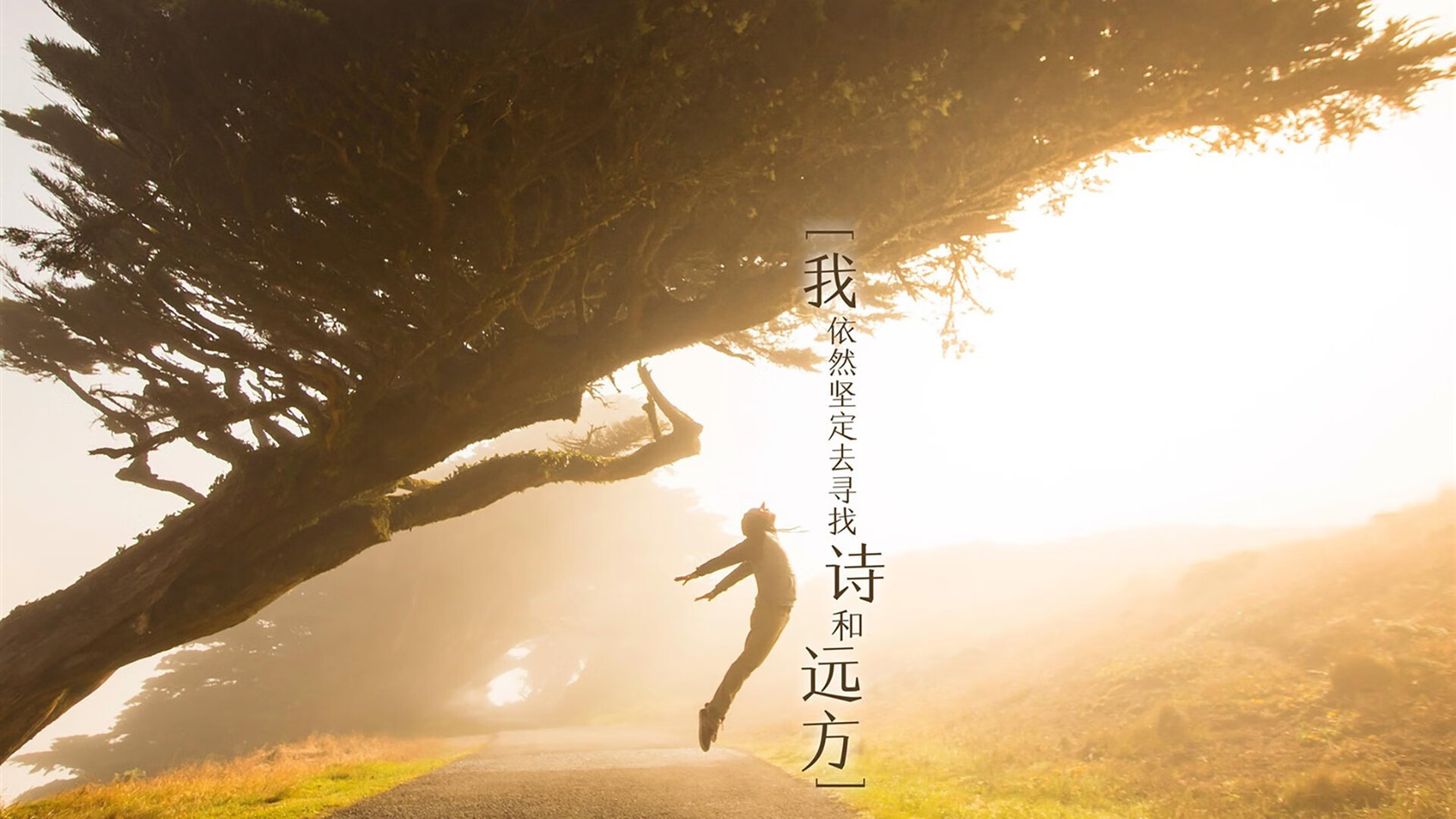 FB体育平台-未来科技:虚拟观赛体验增强与沉浸感,未来战场虚拟现实竞技中心