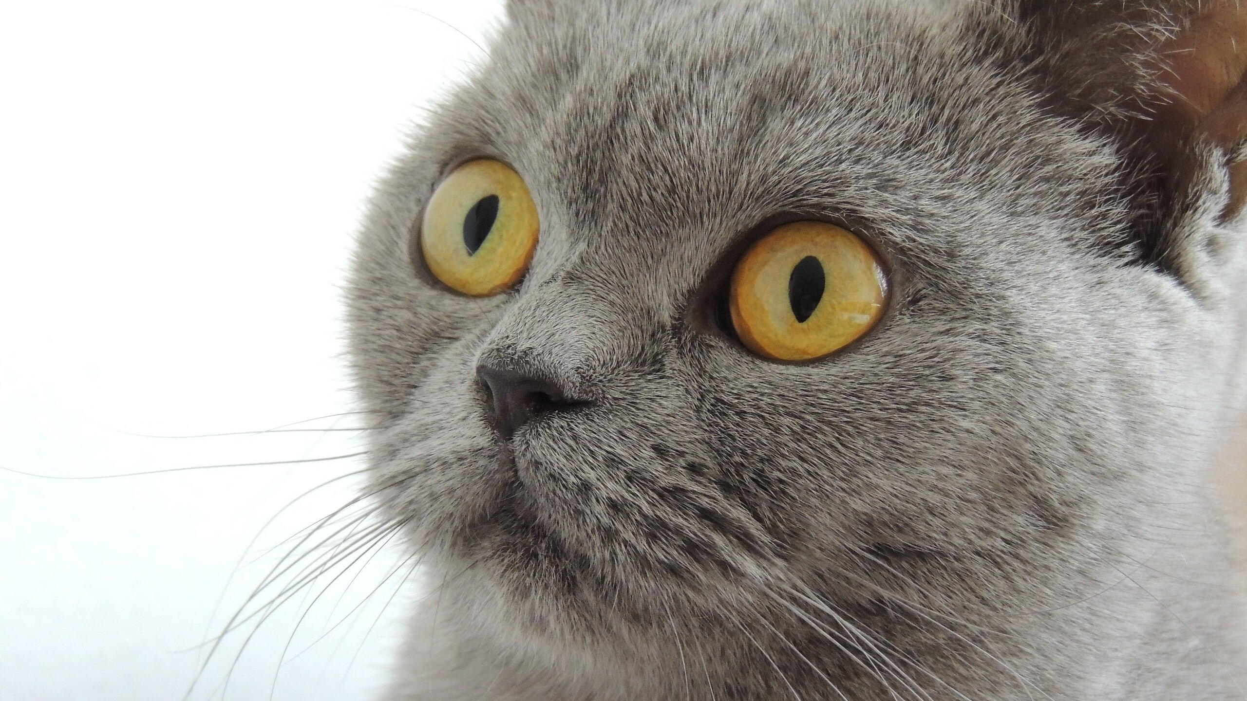 FB体育app下载-篮球运动员训练负荷动态监测技术研究,篮球运动员运动负荷量度