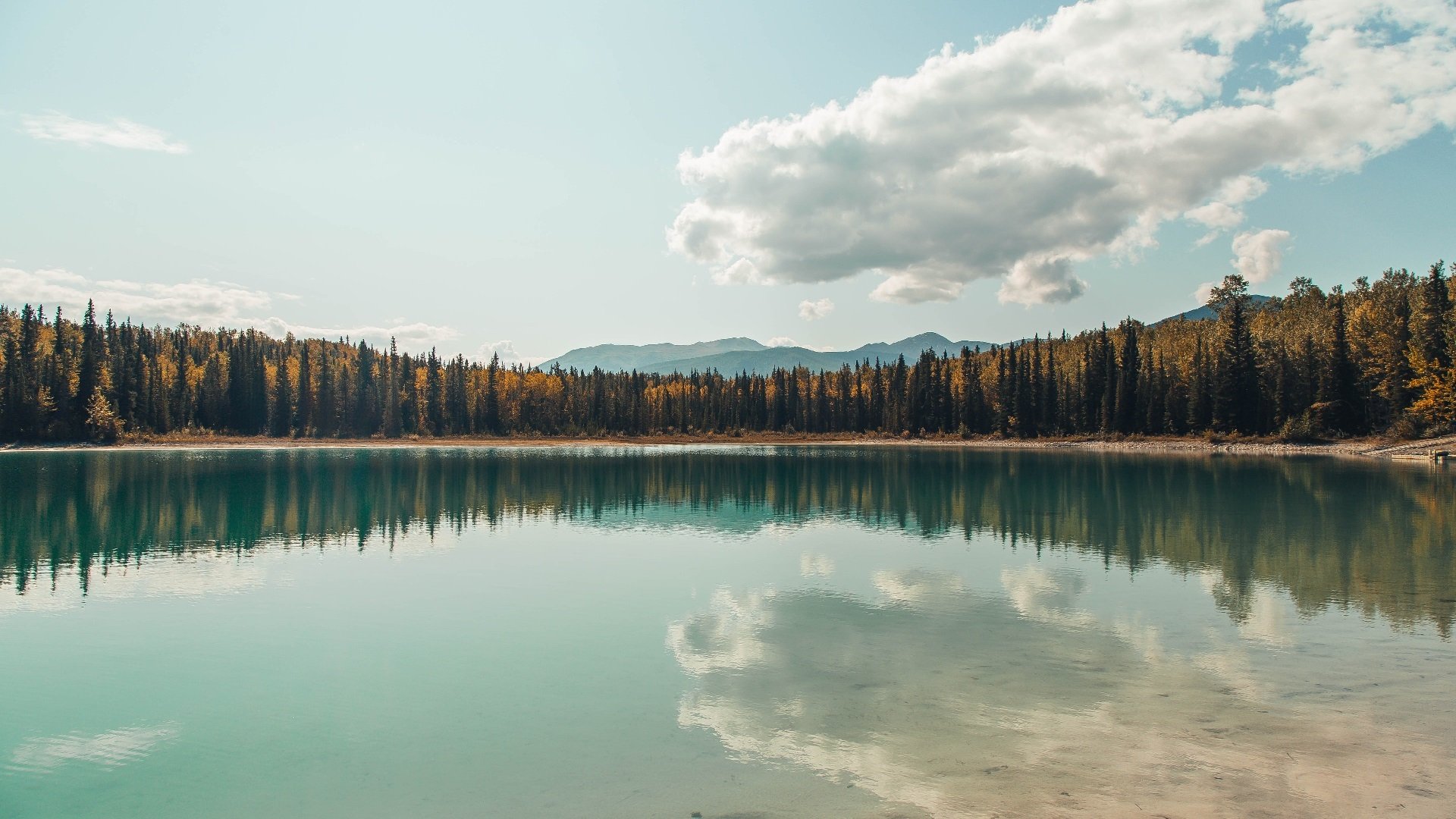 FB体育官方-西甲球员疫情后体能恢复路径与数据支持,西甲运动员