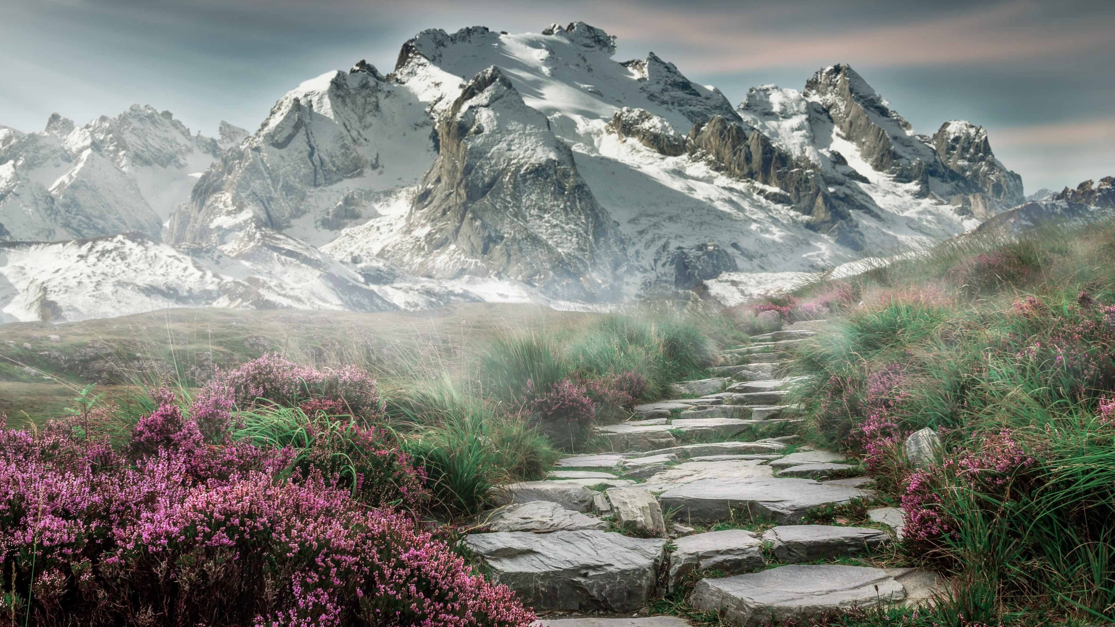 FB体育注册网址-图赫尔战术调整助切尔西突破重围，图赫尔执教切尔西用什么阵型