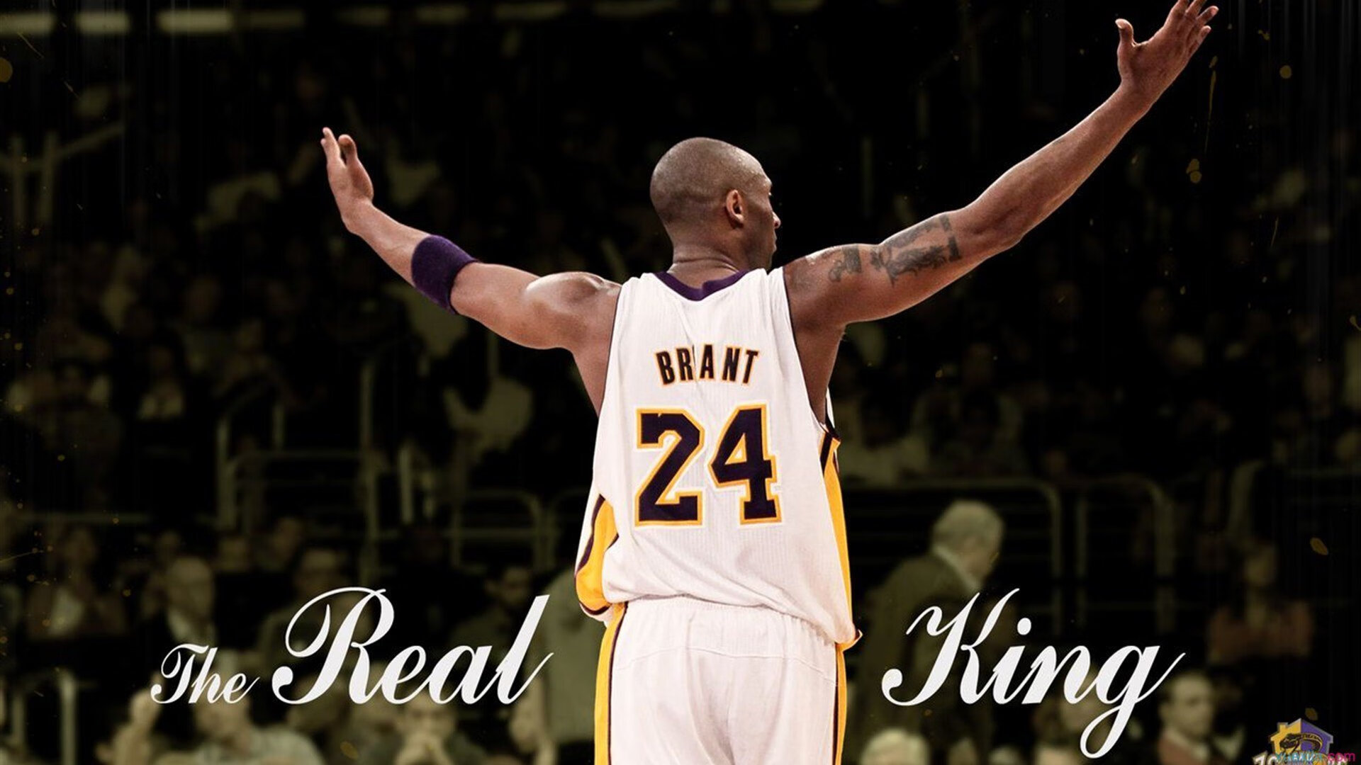 专题访谈：冠军背后的故事，冠军访谈节目